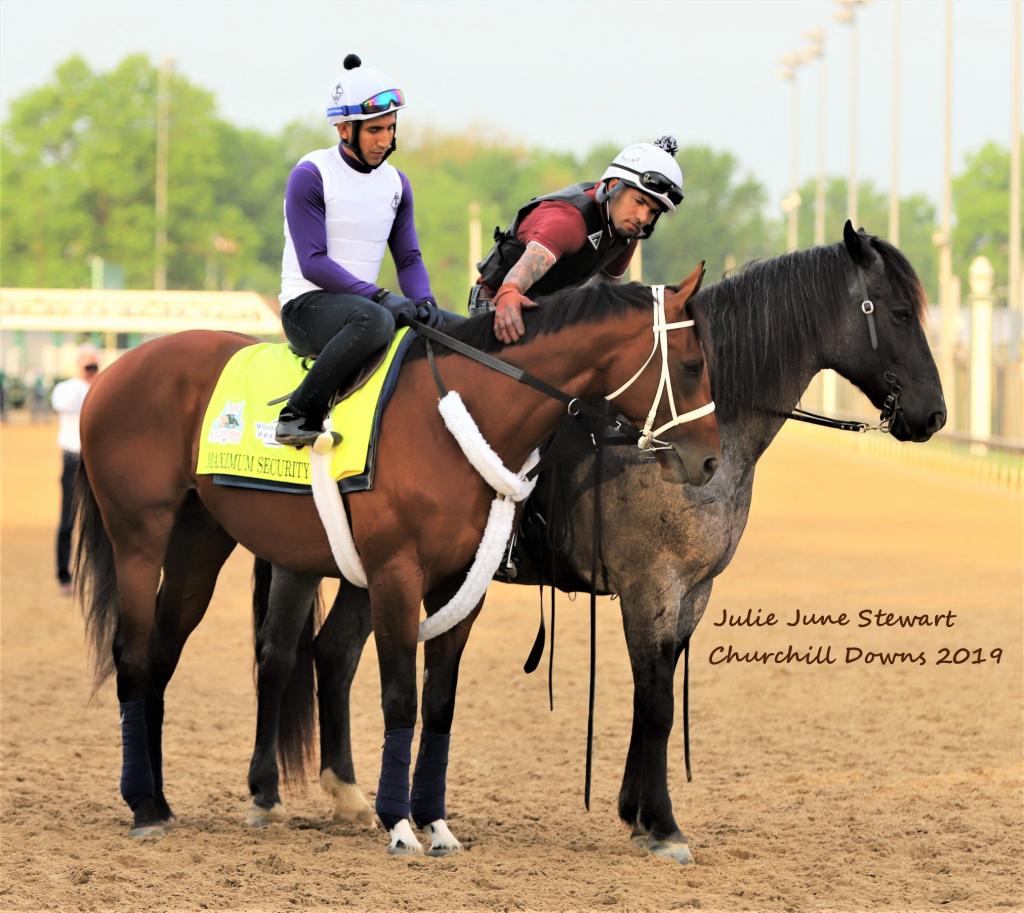 Elwood ponying Maximum Security (Julie June Stewart photo)